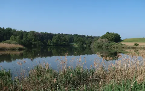 Mühlhaldenweiher