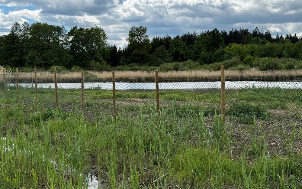 Schafbrühlweiher