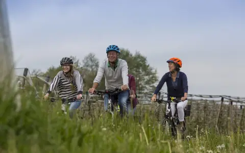 Fahrad,Radfahren Obstbaeume_Gruppe_Senioren_Enkelkind__tifn_leser_2017_web