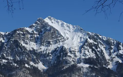 Sichelchamm