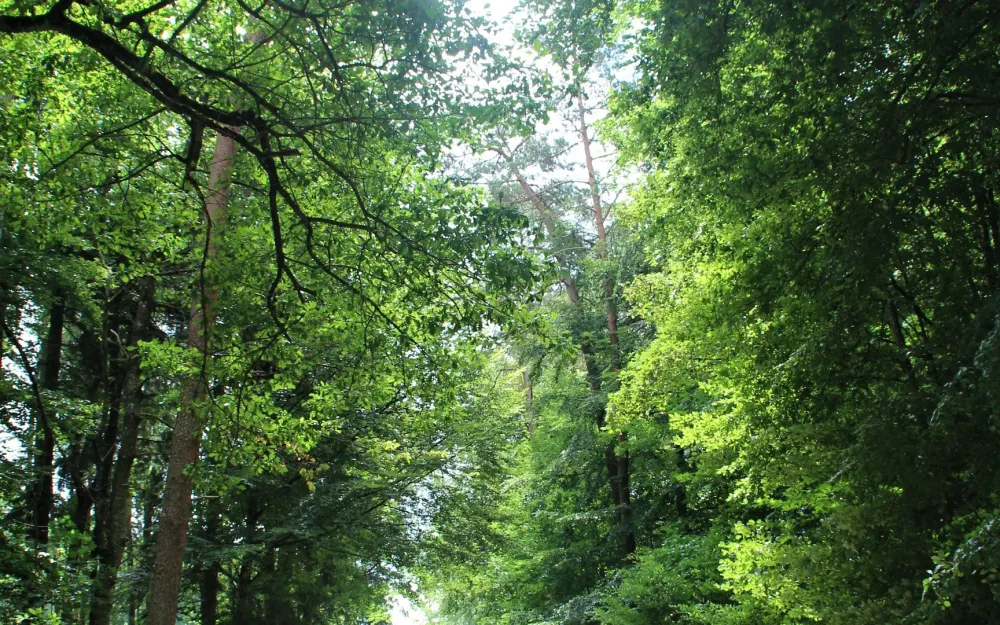 Idyllischer Wanderweg Richtung Brunnhausen