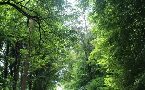 Idyllischer Wanderweg Richtung Brunnhausen