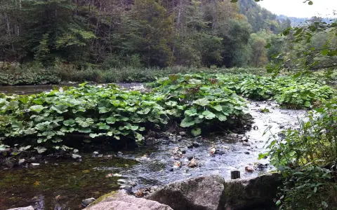Wutach und Baaralb