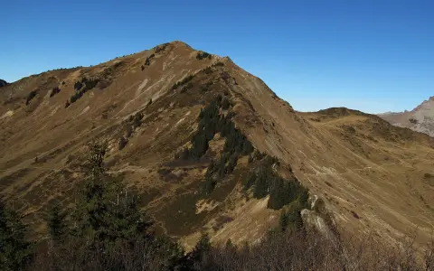 Grünhorn