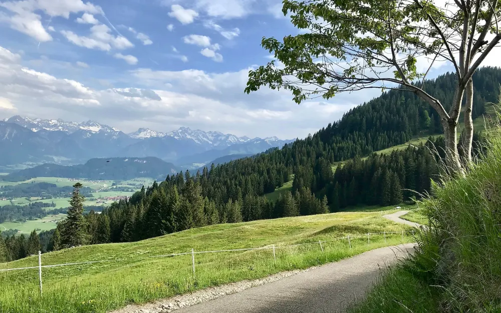 Hörner Panoramatour am Ofterschwanger Horn