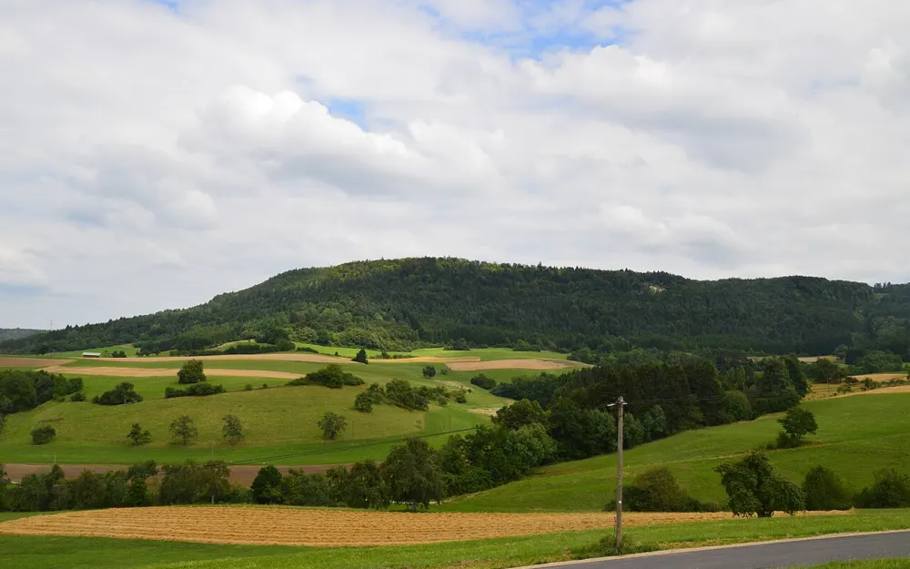 Hoher Randen