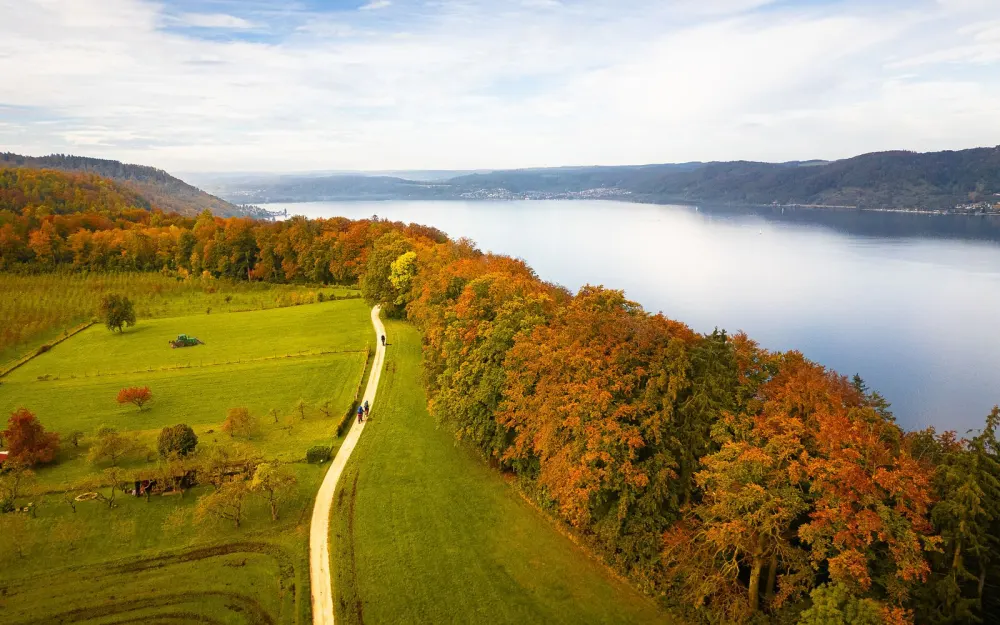 Blick auf den SeeGang und den Überlinger See bei Langenrain im Herbst