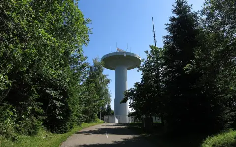 P.1003