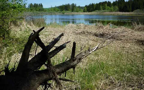 Volzer See