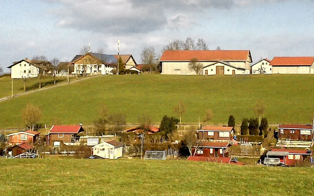 Letten