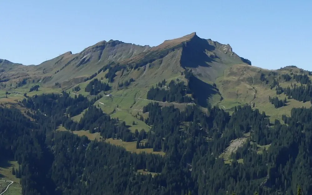 Gungern
