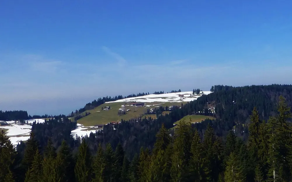 Hochberg