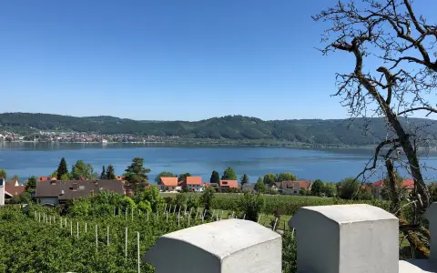 Aussichtspunkt Wassertürmle Bodman