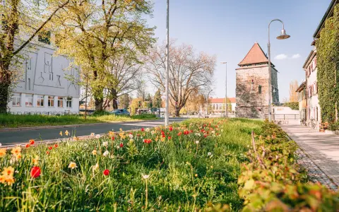 Rheintor- & Pulverturm