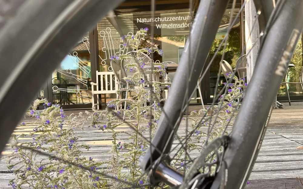 Fahrrad am Naturschutzzentrum