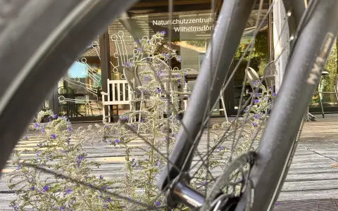 Fahrrad am Naturschutzzentrum