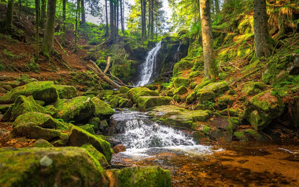 Windbergschlucht