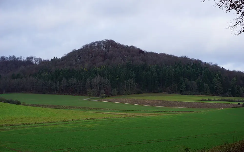 Burg Habsberg