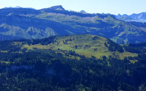 Piesenkopf