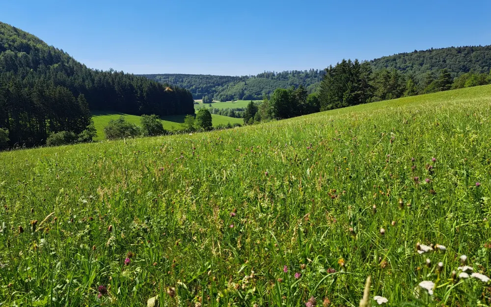 Aussichtspunkt Wünschtal
