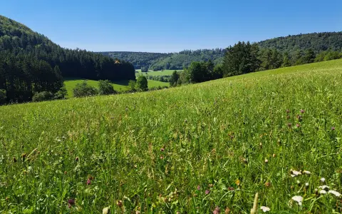 Aussichtspunkt Wünschtal