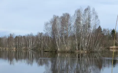 Pfrunger Ried - Rinkenburg