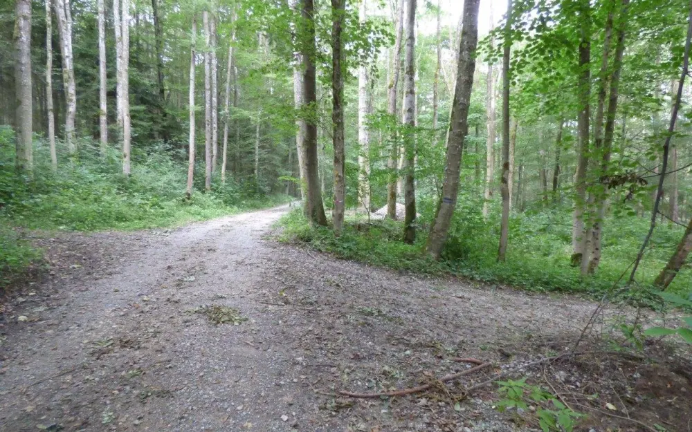 P1010656