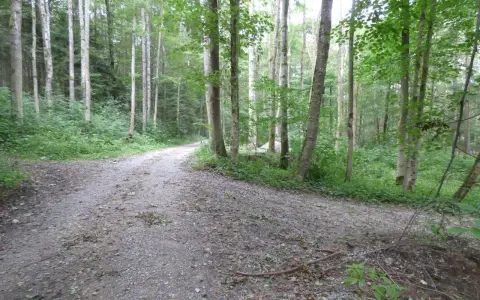 P1010656