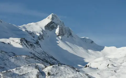 Glatthorn