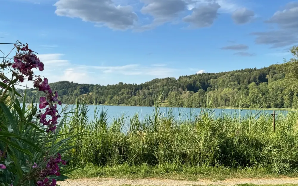 Uferrunde am Illmensee