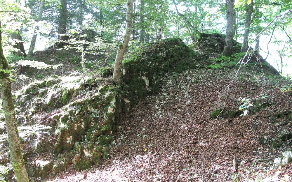 Neidinger Heidenschloss