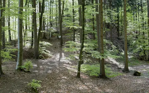 Schwedenschanze (Frickingen)