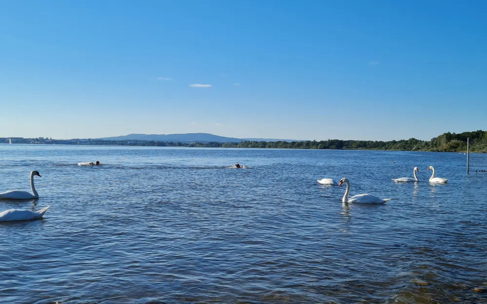 Bodensee