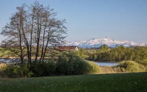 Bommer Weiher