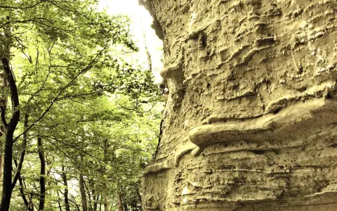Heidenhöhlen