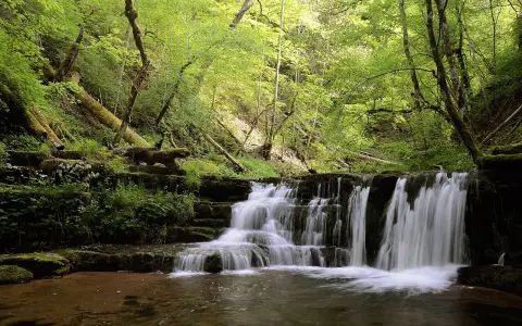 Wutachschlucht