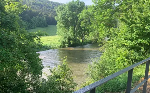 Donauversickerung - Hauptversinkungsstelle 3