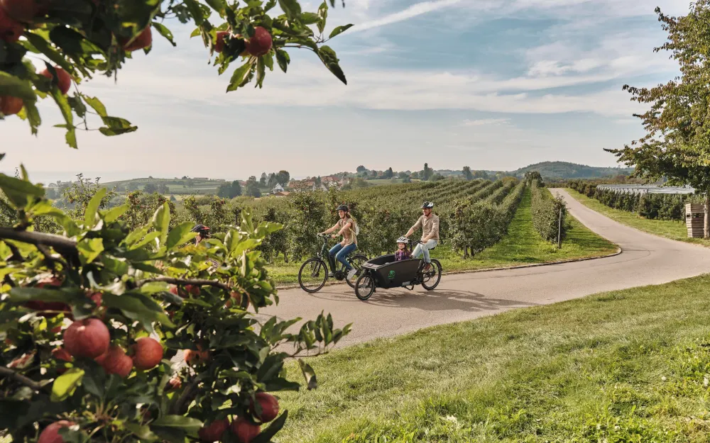 Familienfreundliche Radtour durch das Kressbronner Umland, Lizenz 1b