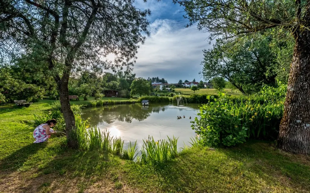 Weiher in Nöggenschwiel