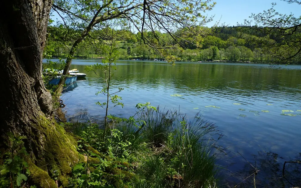 Angeln am Illmensee und Ruschweiler See