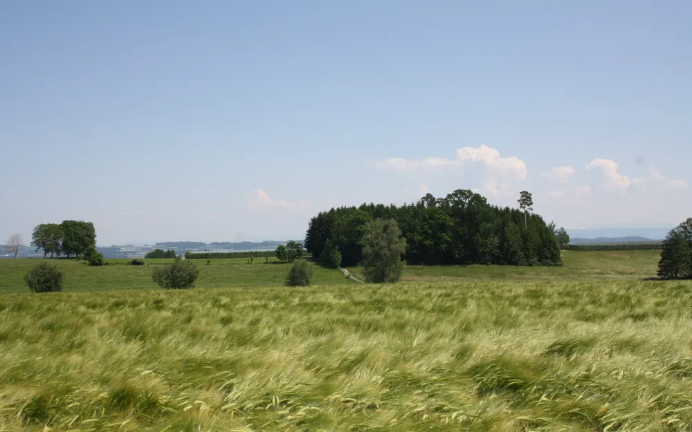 Aussichtspunkt Krehenberg