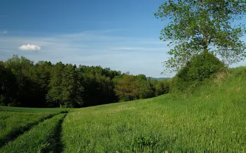 Lippertsreuter Umland