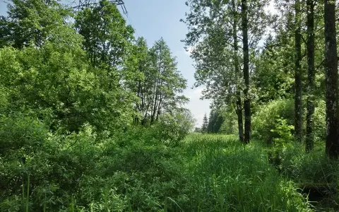 Riede und Gewässer bei Mengen und Pfullendorf