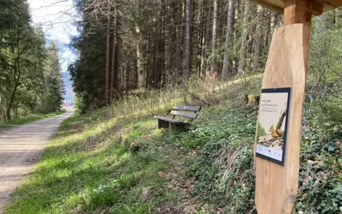 Waldlehrpfad Tieringen
