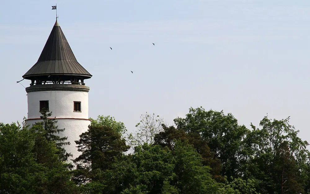 Ruine Hohenbodman