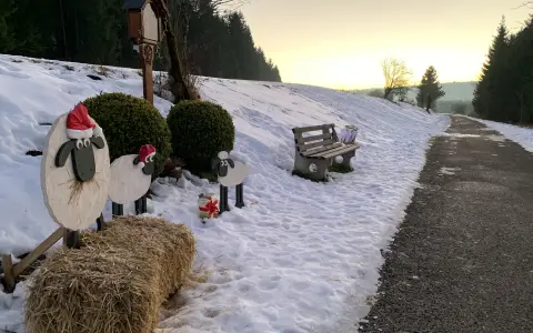 Holzschafe auf dem Obernheimer Weihnachtswanderweg