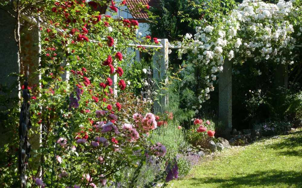Garten Salomon
