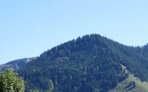 Sattelspitz
