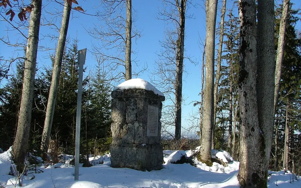 Burg Hohentann
