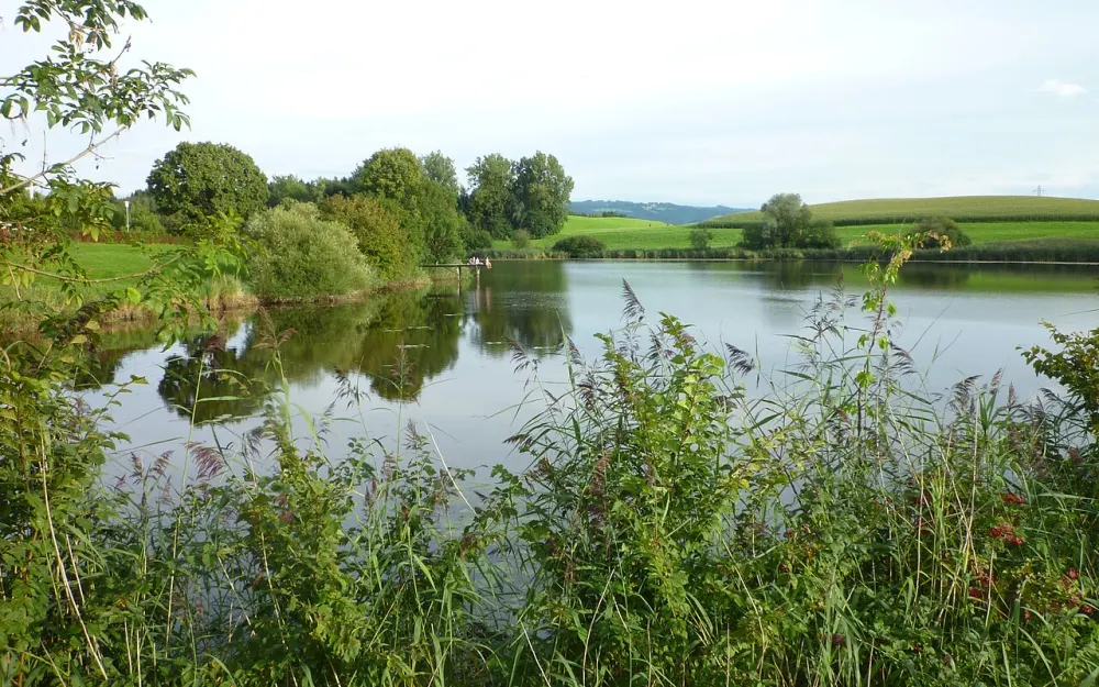 Neuravensburger Weiher
